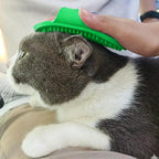 Pet Grooming Bath Brush With Adjustable Hand Strap For Dogs  Cats (1 Pc)
